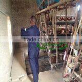 3 Tiers Galvanized Poultry Cage for Nigeria/Tanzania Poultry Farm thumbnail-1