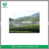 Farming Sprinkler and Spray Irrigation Garden Sprinkler System