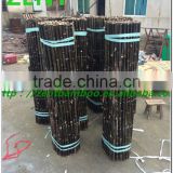 ZENT-110 black bamboo fence bamboo fencing product bamboo garden fence