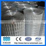 Anping Welded Wire Mesh (Hot Sale)