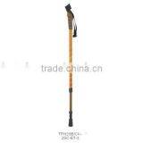 Nordic Walking Stick,Trekking Pole,Hiking Pole thumbnail-1