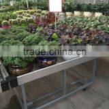 Qingdao Flower Display Bed / Garden Bed thumbnail-2