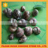 New Arrival Top Sale Popular Fashion Shell in 2015 thumbnail-5