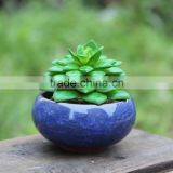 Garden Cracked Ice Succulent Plants Porcelain Flower Pot thumbnail-6