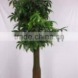 China Hot Sale Evergreen Fake Money Tree ,artificial Pachira thumbnail-2