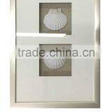 Shadow Box With White Seashell thumbnail-1