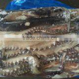 High Quality Wholesale Frozen Vietnam Squid With Best Price thumbnail-3