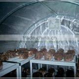 Cheap Film Tunnel Mushroom Greenhouse thumbnail-2