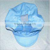 Cleanroom Series Goods Manufacturer Anti-static Cap