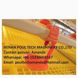 Tanzania Poultry Farming Equipment Plastic Saltted Floor System Broiler Chicken & Floor Raising System With Nipple Drinker System & Feeding Pan System