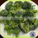 Non- GMO Natural Frozen Broccoli Floret (40-60 Mm) thumbnail-1