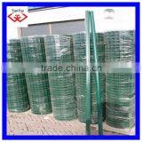 Different Lolors Pvc Coated Holland Wire Mesh(factory and Supplier)