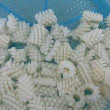 Frozen Squid Flower thumbnail-2