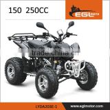 ATV 250CC QUAD BIKES