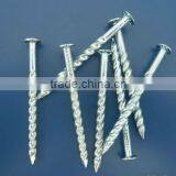 High Quality Twisted Nails Factory in China