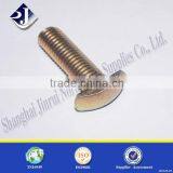 Non Standard Oval Head Bolt