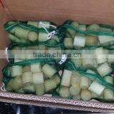 Sugarcane Cut thumbnail-3