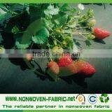 PP Landscape Fabric Weed Control Fabric pp Ground Cover thumbnail-3