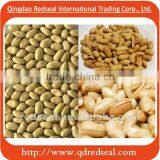 Fried and Good Taste Salted Peanuts