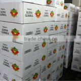 Tomato Sauce 800gram ,hard Open/easy Lid With High Quality thumbnail-5