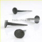 Polished Wood Common Iron Nail of Best Price