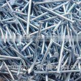 Stainless Steel Ring Shank Nails/Umbrella Nail With Big Head