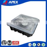 APEX low bay canopy light surface mounted