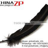 ZPDECOR Top Selling Plume in Stock Dyed Black Solid Color Turkey Feathers Decorations thumbnail-3