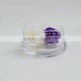 High Quality Handmade Glass Vase for Hydroponics thumbnail-1