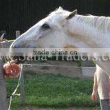 Rock Salt For Horse Licks / Animal Lick Salt / Salt Licks / Himalayan Salt Licks / Salt Animal Licks / Rock Salt Cattle Feed thumbnail-1