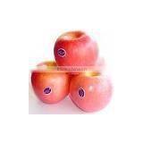 2015 Crop Cold Store Fuji Apple thumbnail-1