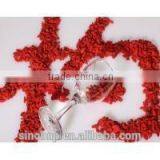 QS/HACCP/ISO-BNP Xinjiang Goji 100% Natural High Quality Goji Berry Extract thumbnail-2