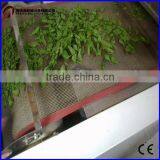 Herba Cistanches Drying Machine thumbnail-2