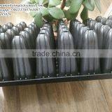 9CM Deep 72 Cells High Quality Black PS Plastic Nursery Seed Growing Tray for Forest Seedling Propagation thumbnail-1