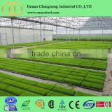 Low Cost Plastic Greenhouse From China Polyethylene Film Greenhouse Vegetable Greenhouses thumbnail-4