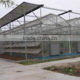 Gutter Height Commercial Polycarbonate Greenhouse for Used thumbnail-1