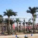 SJ12001204 Fake Plastic Big Trees Plam Tree thumbnail-6