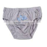Sexy Boys Briefs Cotton Brief For Boys Underwear Photos thumbnail-2
