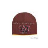 Sell Knitted Embroidery Hat