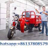 Gasoline Tricycle Cargo Loader Lovol Three Wheeler Mali Ethiopia Ghana Bukina Faso Tanzania Kenya Senegal Togo Benin Nigeira Mauritania Angola Burundi Chad Cameroon C ô te D'Ivoire Gabon Guinea Mozambique Rwanda Congo Uganda Zimbabwe thumbnail-1