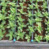 Drip Irrigation Tape for Agricultural Farm Irrigation Drip Irrigation System thumbnail-1