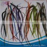 Wholesale Good Quality Not Dry Cheap Vitality Feather Hair Extension thumbnail-1