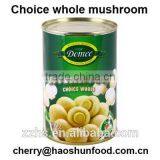 Canned Mushroom Canned Food thumbnail-6