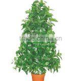 New Artificial Money Tree