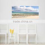 2016 New Popular TUV GS SAA Rohs CE Manufacturer White PET ir Panel Heaters