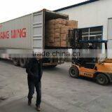 Newest Hot Sale Automatic Mini Egg Incubator/24 Egg Incubator/mini Incubator thumbnail-3