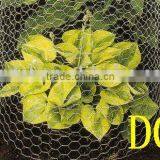 Chicken Wire for Protecting Tree