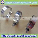 Multi Size Various Type Hose Clamp/Heavy Duty Stainless Steel Hose Clamp