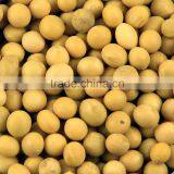 Soybean thumbnail-2