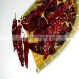 Sweet Chili Pod thumbnail-1